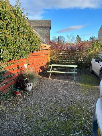 Existing car park; the area we aim to substitute for our green space 