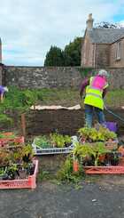 Rattray Community Garden